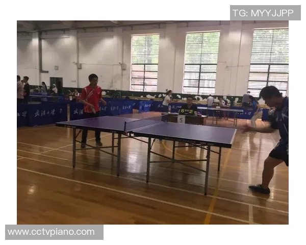 武汉乒乓球队实力深度剖析及各队员表现全面对比分析 武汉乒乓球队实力深度剖析及各队员表现全面对比分析