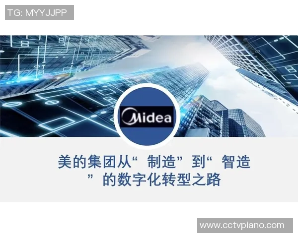 深圳羽毛球队转型之路揭秘选拔赛背后的故事与挑战 深圳羽毛球队转型之路揭秘选拔赛背后的故事与挑战