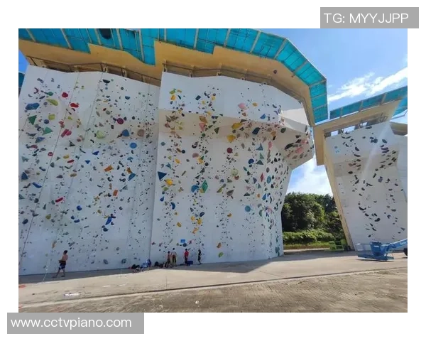 2026攀岩比赛经验排名：广州攀岩队创新高