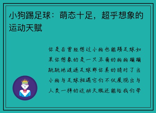 小狗踢足球：萌态十足，超乎想象的运动天赋