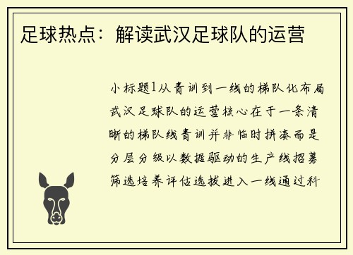 足球热点：解读武汉足球队的运营